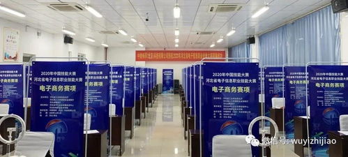 衡水市武邑職教中心教師在河北省電子信息服務(wù)業(yè)職業(yè)技能大賽中榮獲佳績(jī)，彰顯信息電子技術(shù)服務(wù)專(zhuān)業(yè)實(shí)力