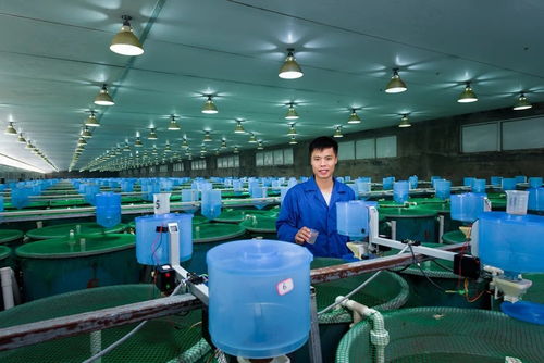 海大集團(tuán) 連續(xù)多年保持20 以上增長速度的背后力量