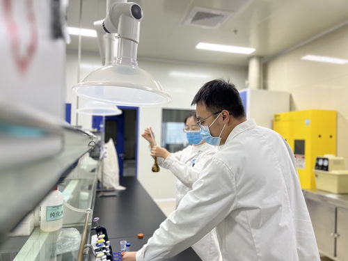 甘肅定西 保護(hù)藥材資源 推動中醫(yī)藥全產(chǎn)業(yè)鏈發(fā)展